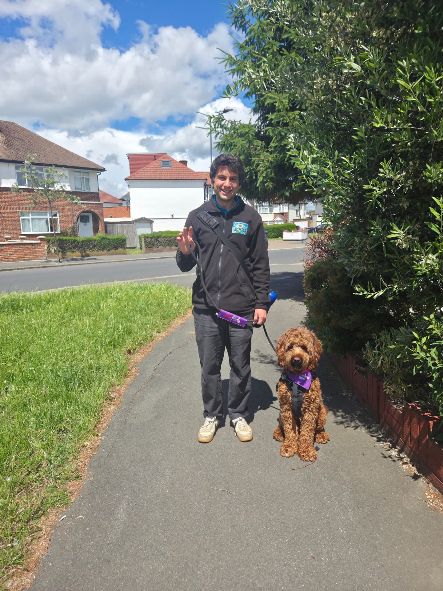 Argo on his lead beside his handler on a sunny pavement near the nursery